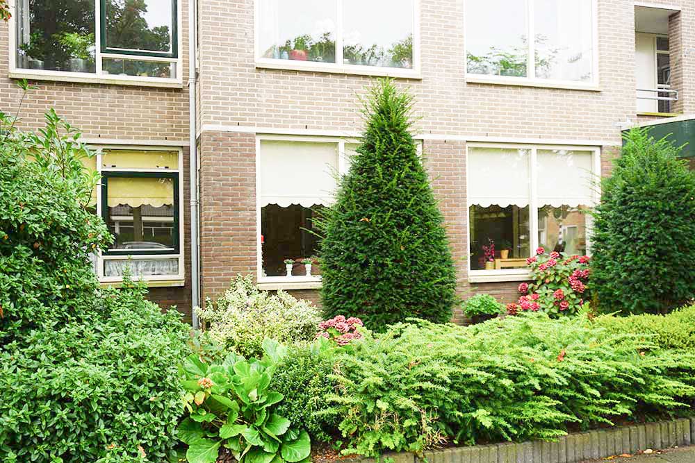 Javastraat 46A Julianadorp - image 2